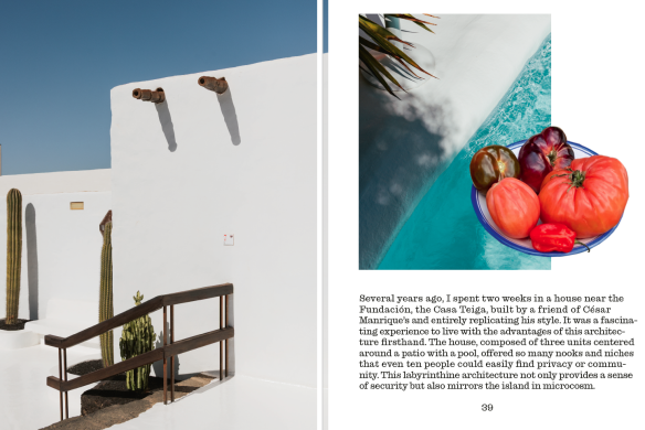 Het bouwen van een paradijs. Lanzarote (Engels)