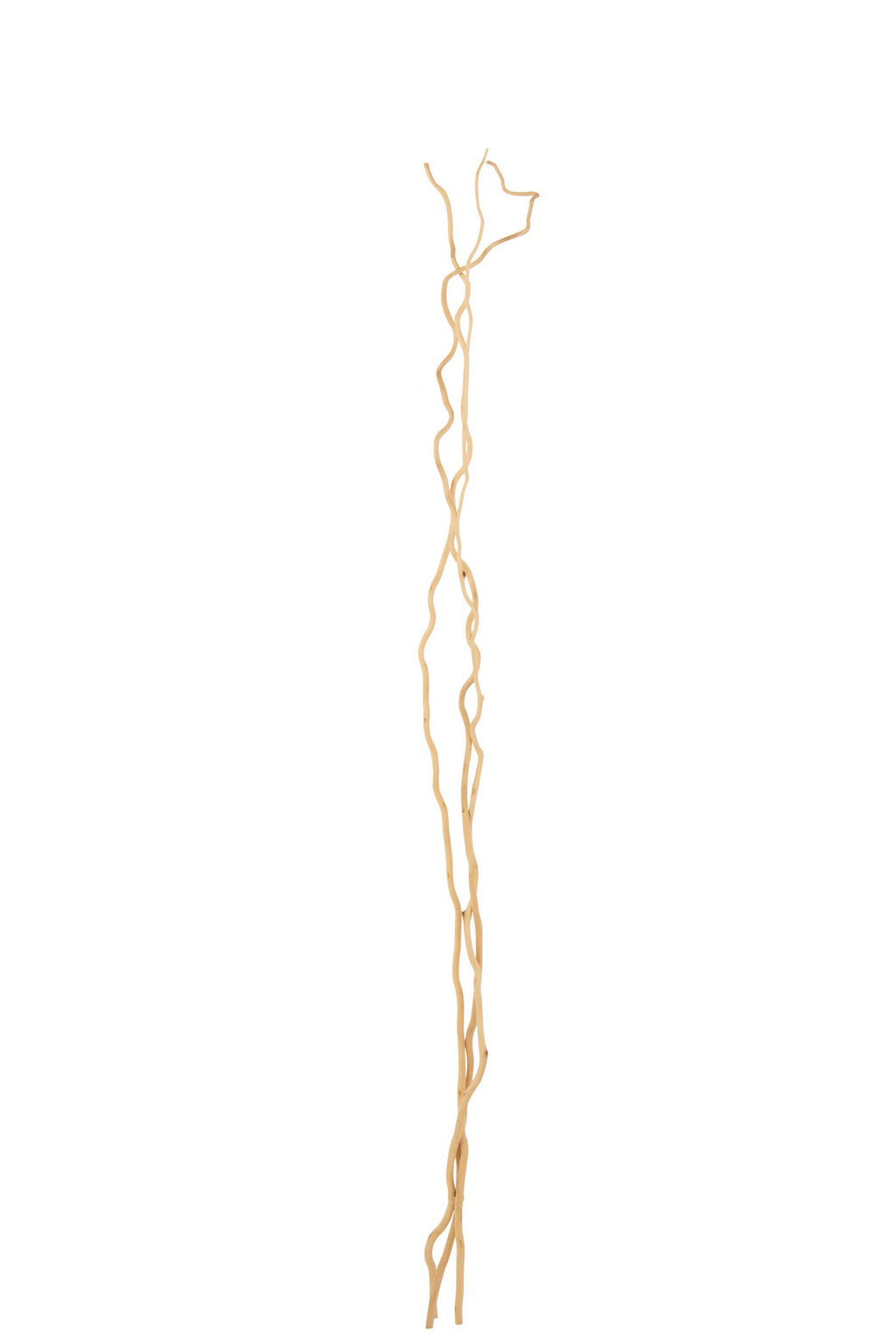 J-Line decoratie tak Droogbloemen - riet - naturel - L- set van 3