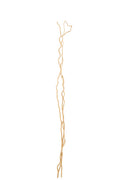 J-Line decoratie tak Droogbloemen - riet - naturel - L- set van 3