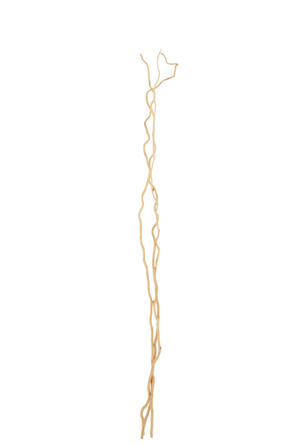 J-Line decoratie tak Droogbloemen - riet - naturel - L- set van 3