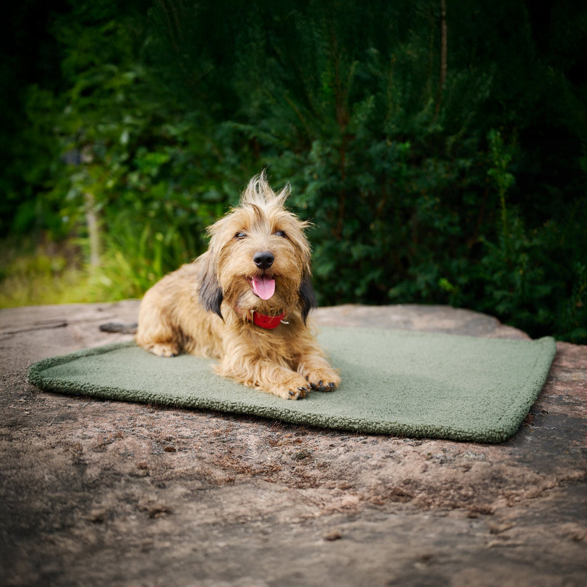 Teddy reis- en outdoordeken voor honden