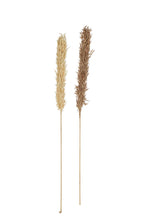 J-Line droogbloemen Oogst - rotin/pluim - naturel