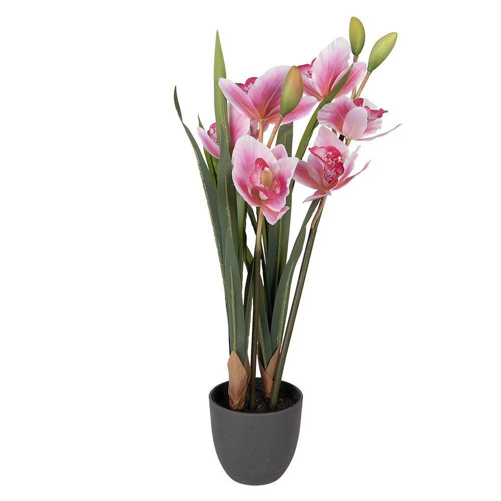 Kunstplant 14x14x55 cm Roze Kunststof