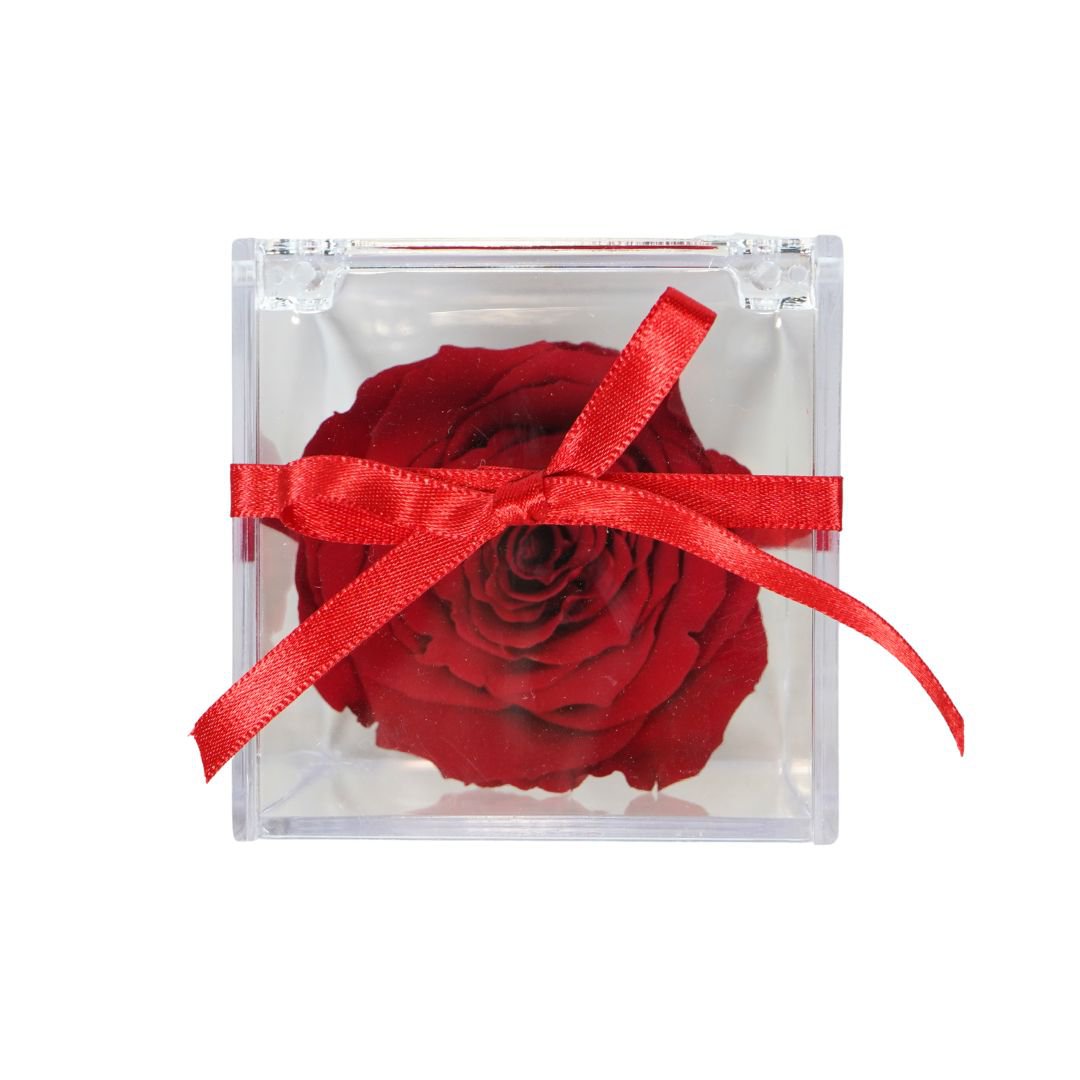 Geconserveerde rode roos in geschenkverpakking