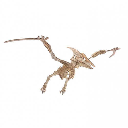 Bouwpakket Pterosaurus- kleur