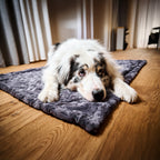 Cosy knuffeldeken voor honden