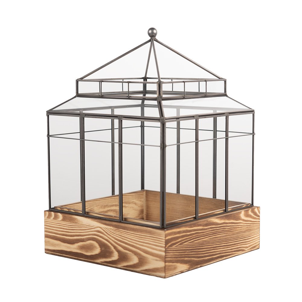 Decoratie KweekKastje 21x21x32 cm transparant Glas