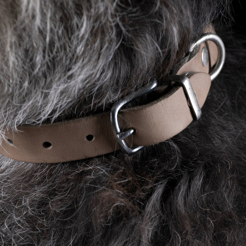 Giro leren halsband voor honden