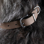Giro leren halsband voor honden