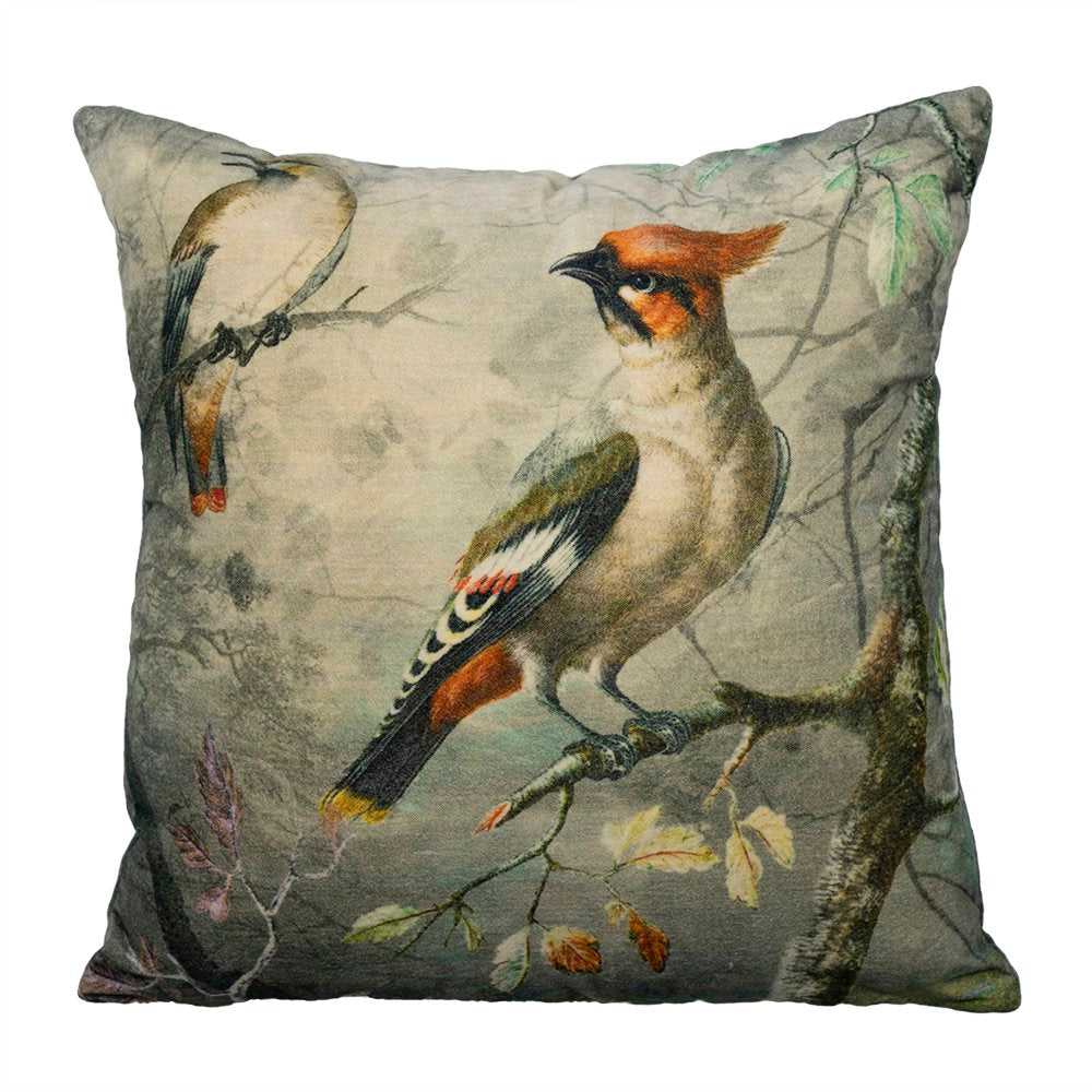 Kussen fluweel charming kuifvogel 45x45cm