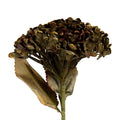 Kunstbloem 15x15x47 cm Groen Kunststof