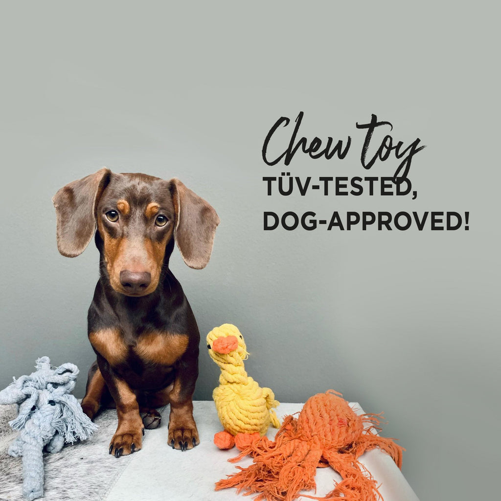 Shawn de Sneeuwman - cultspeelgoed voor honden