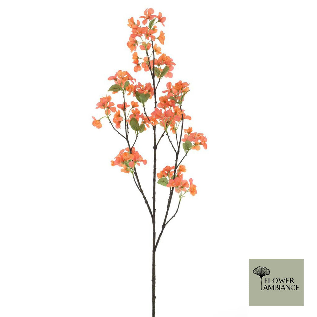 Appelbloesem oranje rood 116cm
