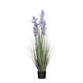 Gras campanula h120xd30