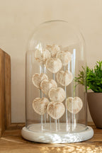 J-Line stolp Schelp - glas - wit/beige - L