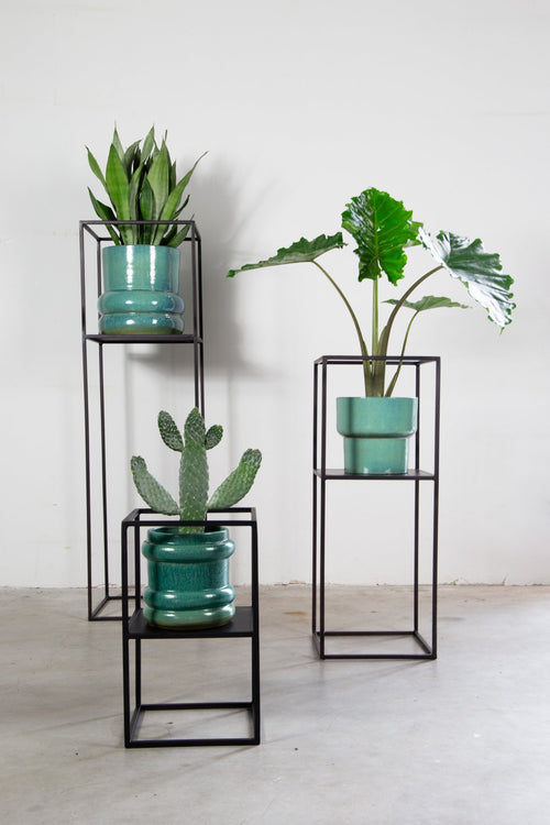 Archi plantentafelset 3
