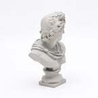 Apollo buste sculptuur – wit klassiek Grieks beeld voor elegant interieur
