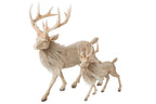 J-Line decoratie Rendier - polyresin - lichtbeige - large