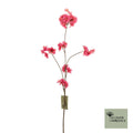 Prunus malaga tros cerise 84cm