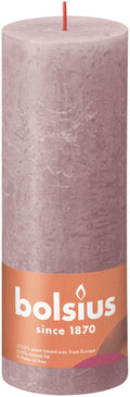 Shine rustiekkaars 190/68 Ash Rose