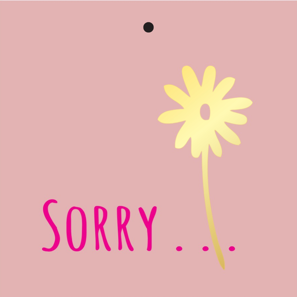 Cadeaukaartje – “Sorry…” – 20 Stuks