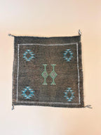 Cactus Silk Kussen