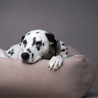 Buffel Ortho | Premium orthopedisch hondenbed