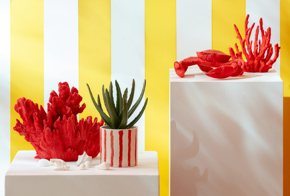 J-Line decoratie Krab - polyresin - rood