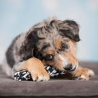 Bonnie Bone - cultspeelgoed voor honden