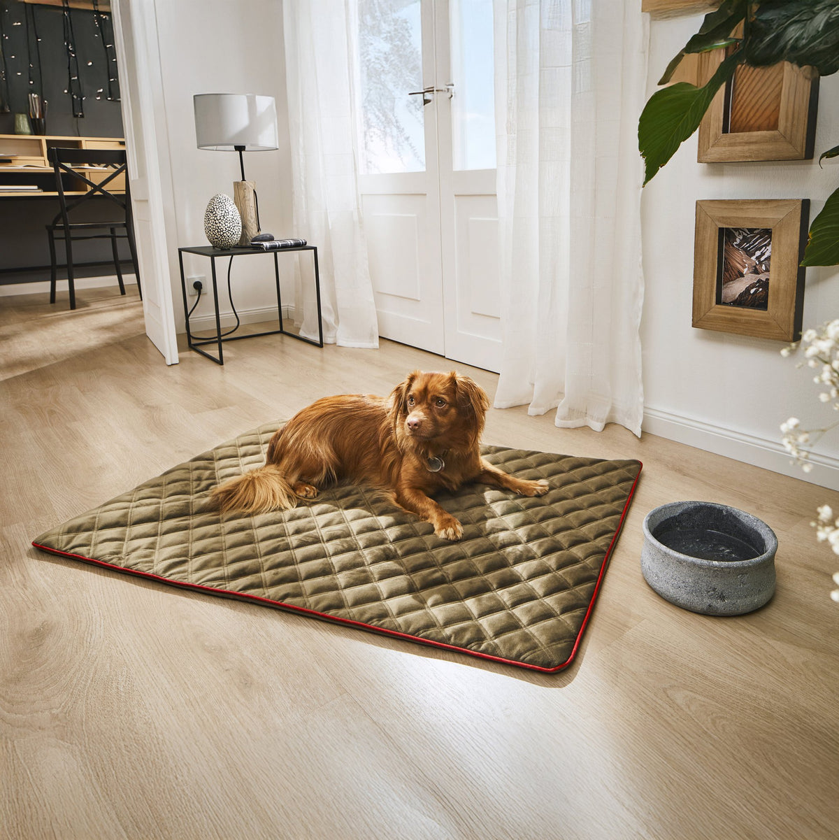 Oxford fluwelen deken voor honden