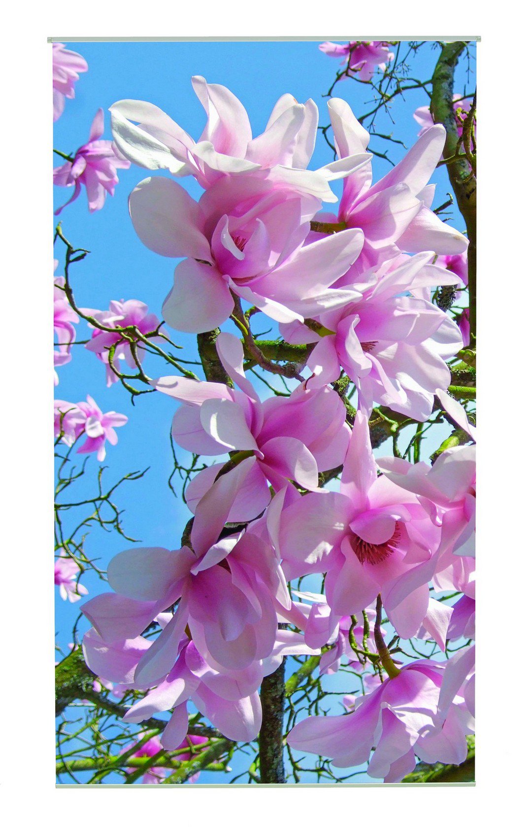 Magnolia Outdoor TextielPoster fotoprint 95x170cm