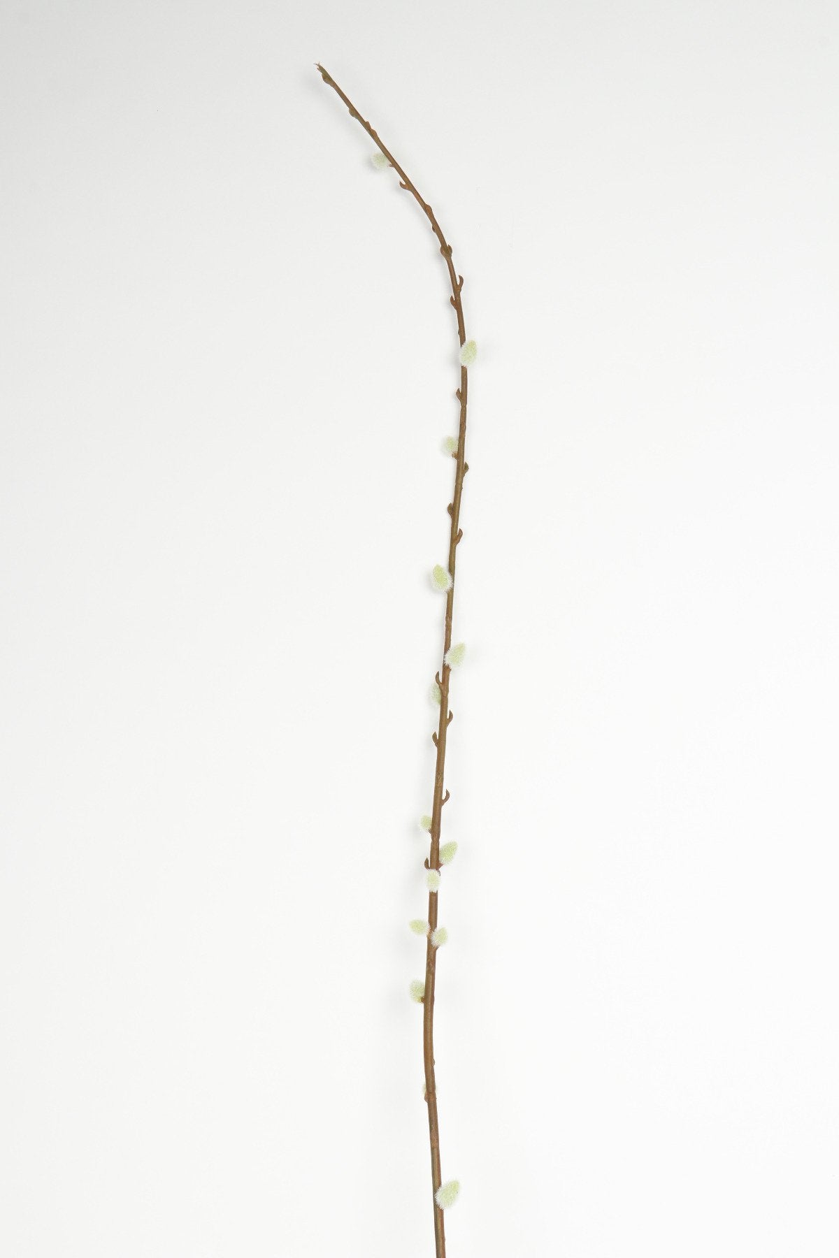 Kunsttak Wilgenkatjes 3st 157cm wit