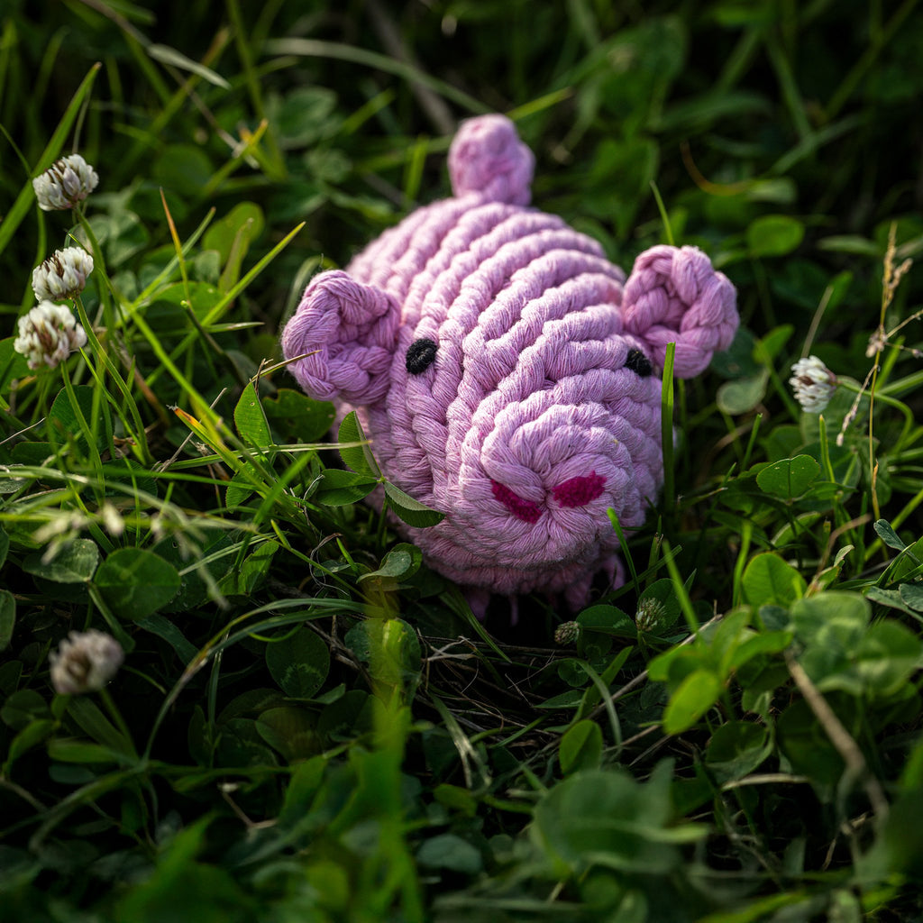 Hondenspeelgoed Katoenen Touw Lucky Pig - Piggy PIG