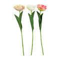 Tulp 60cm wit-roze-pink-groen