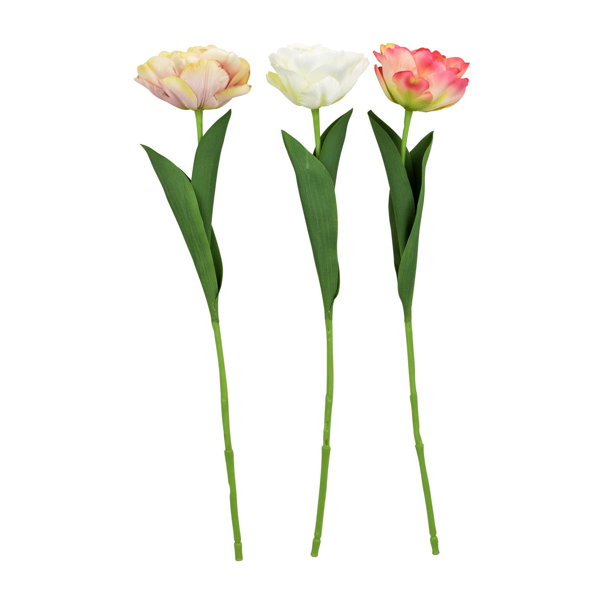 Tulp 60cm wit-roze-pink-groen