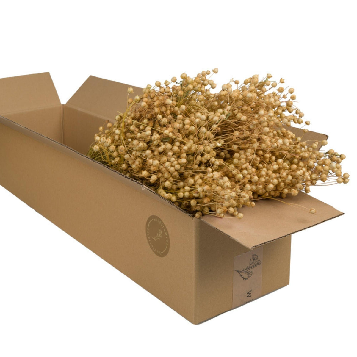 Droogbloemen - Linium Naturel