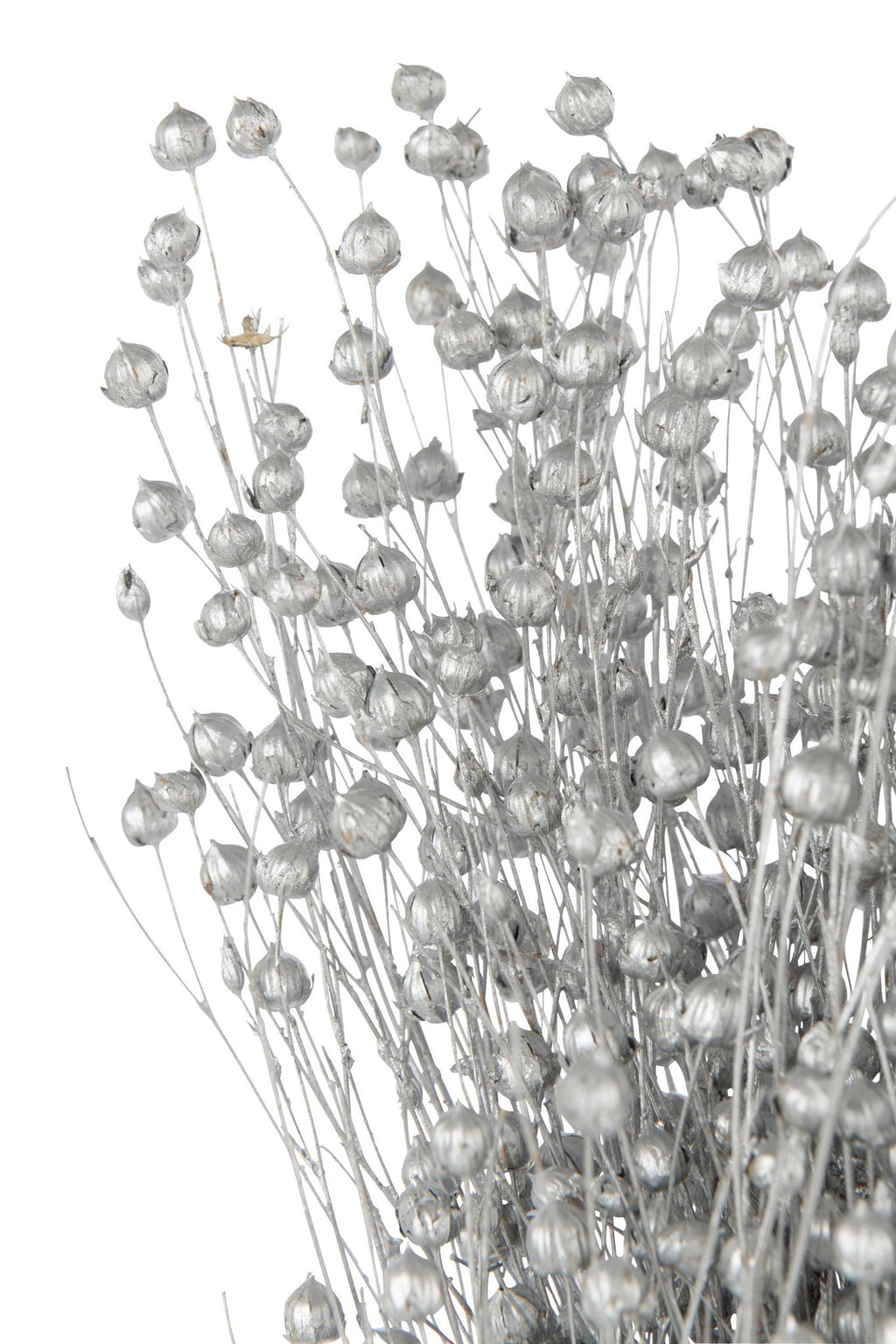 J-Line decoratie droogbloem - riet - zilver