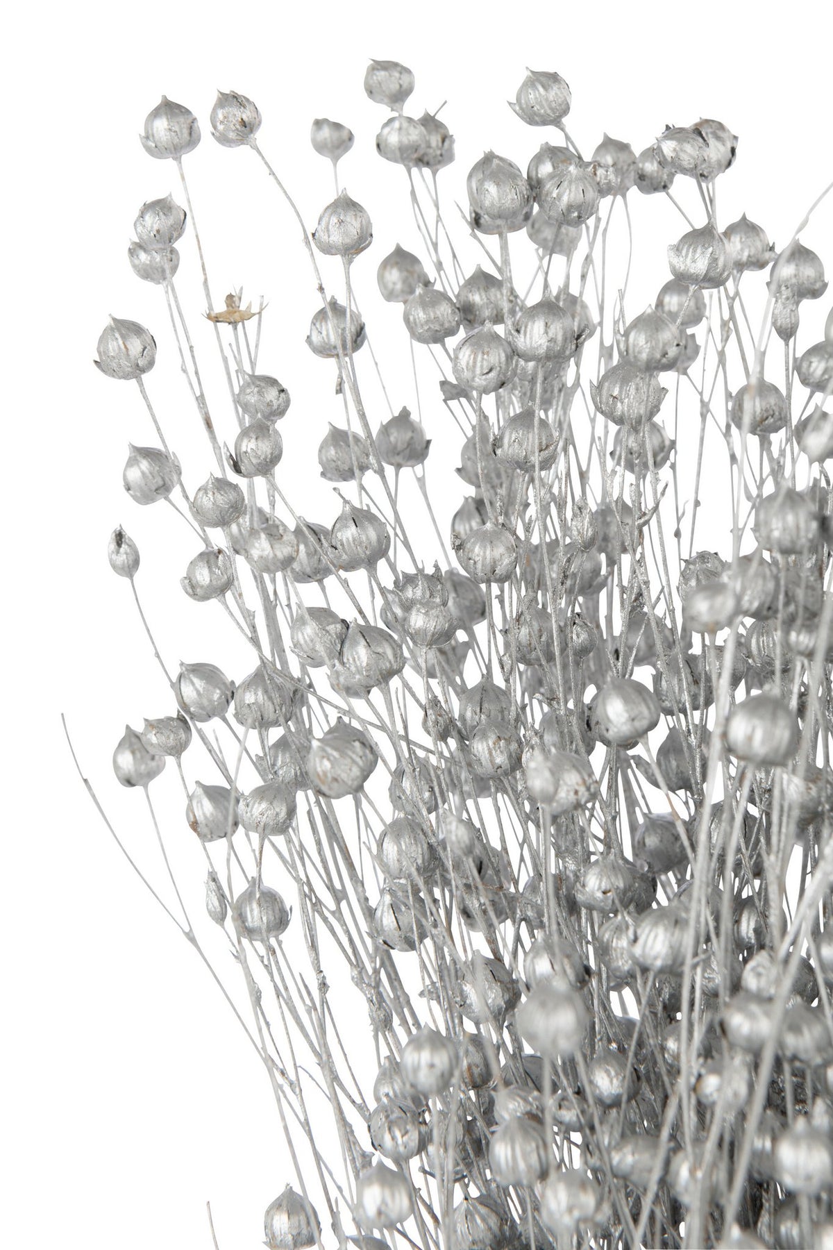 J-Line decoratie droogbloem - riet - zilver