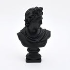 Zwarte Apollo buste sculptuur voor modern interieur