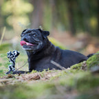 Bonnie Bone - cultspeelgoed voor honden