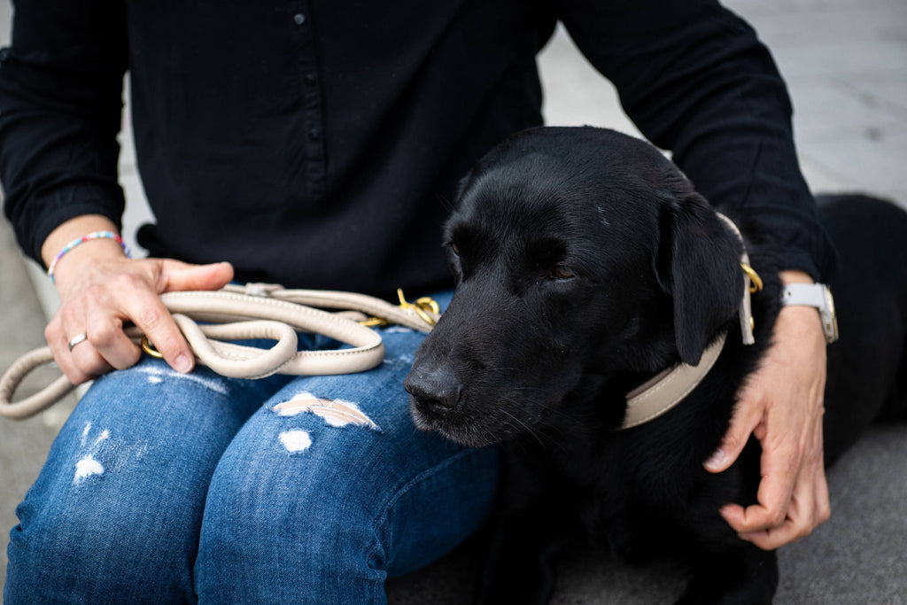 Amici Ivory – Rondgestikte leren riem