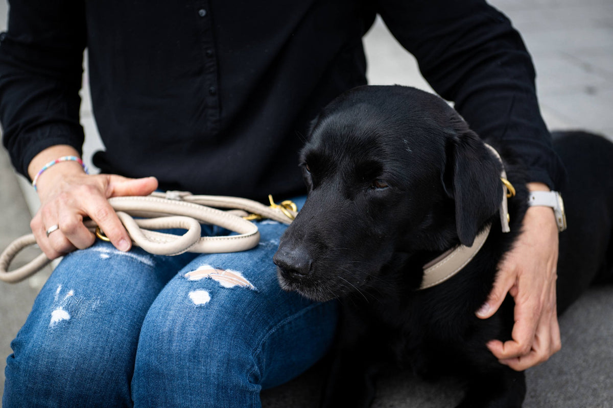 Amici Ivory – Rondgestikte leren riem