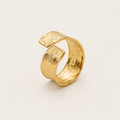 CassisRING