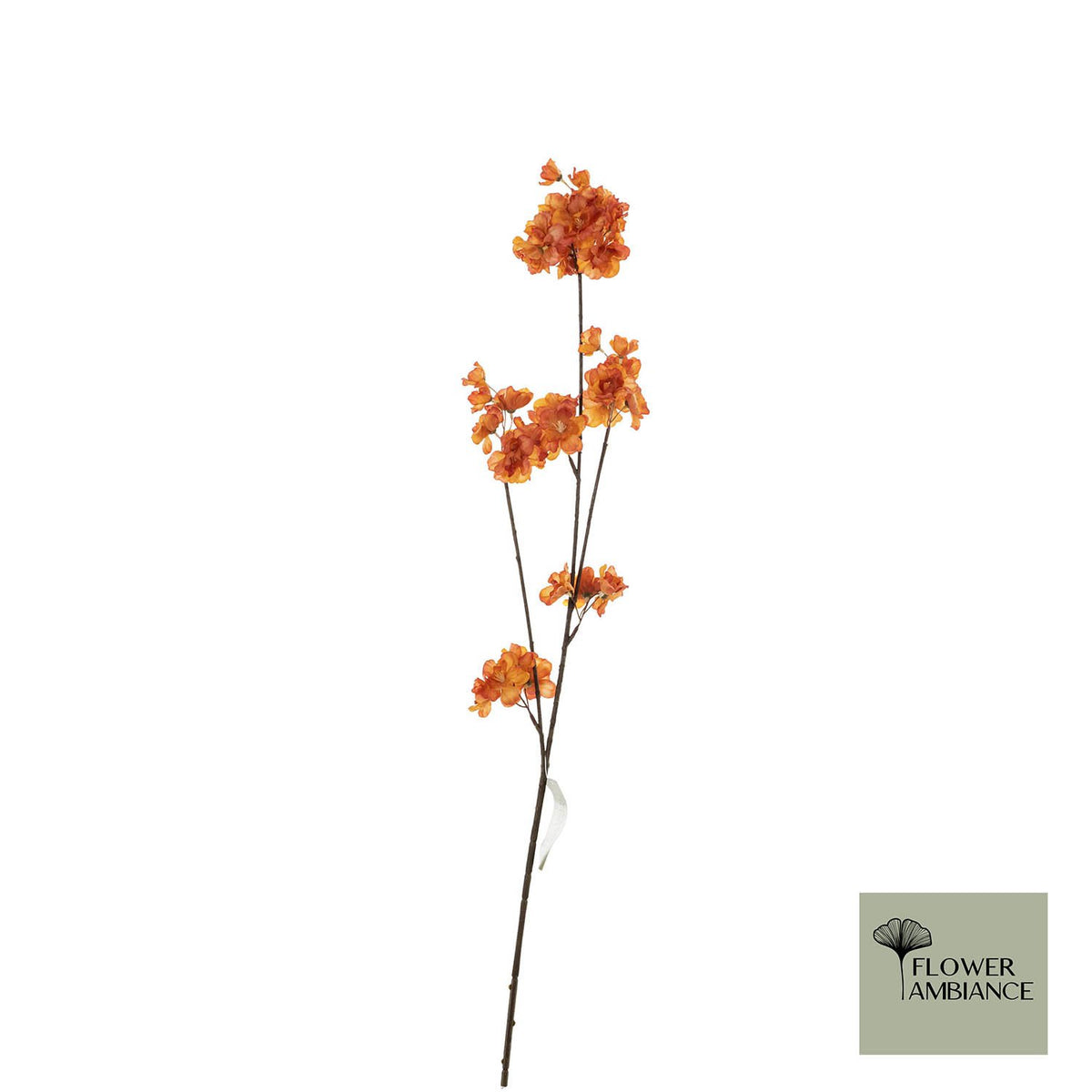 Prunus malaga tros oranje 84cm