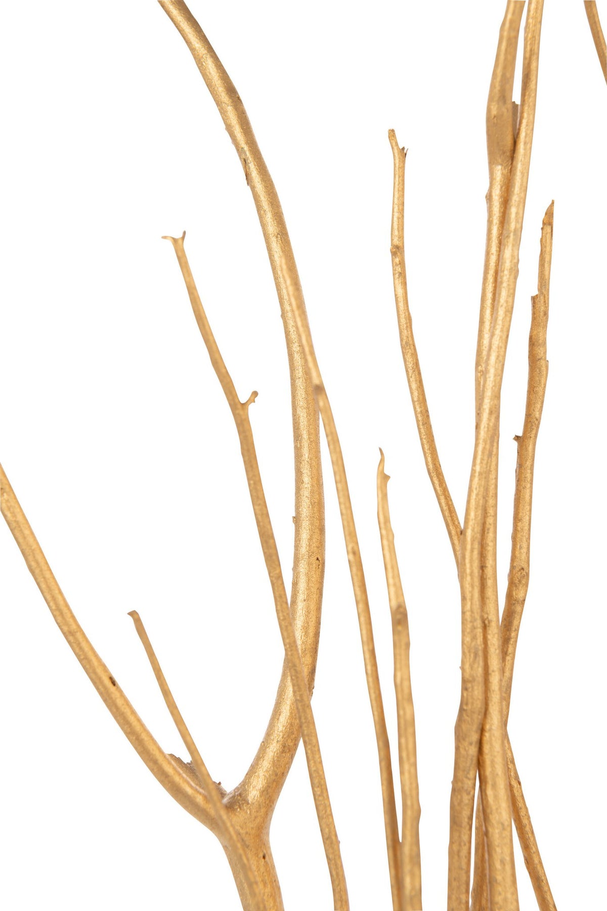 J-Line decoratie tak droogbloemen - riet - goud - small - 3 stuks