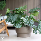Plantenpot - Nyborg taupe