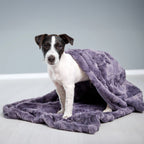 Cosy knuffeldeken voor honden