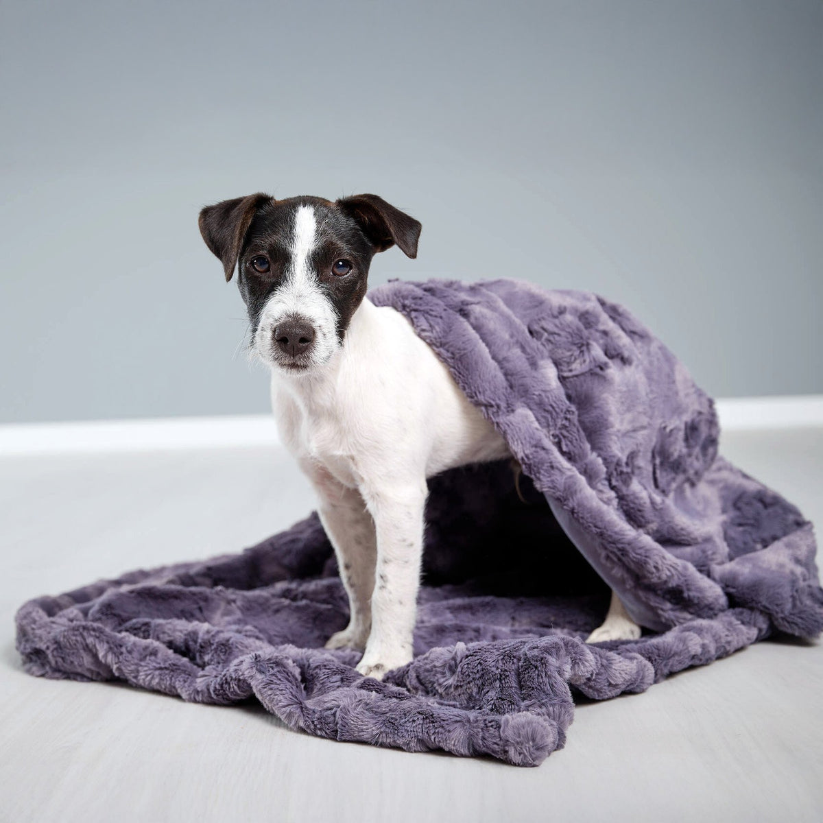 Cosy knuffeldeken voor honden