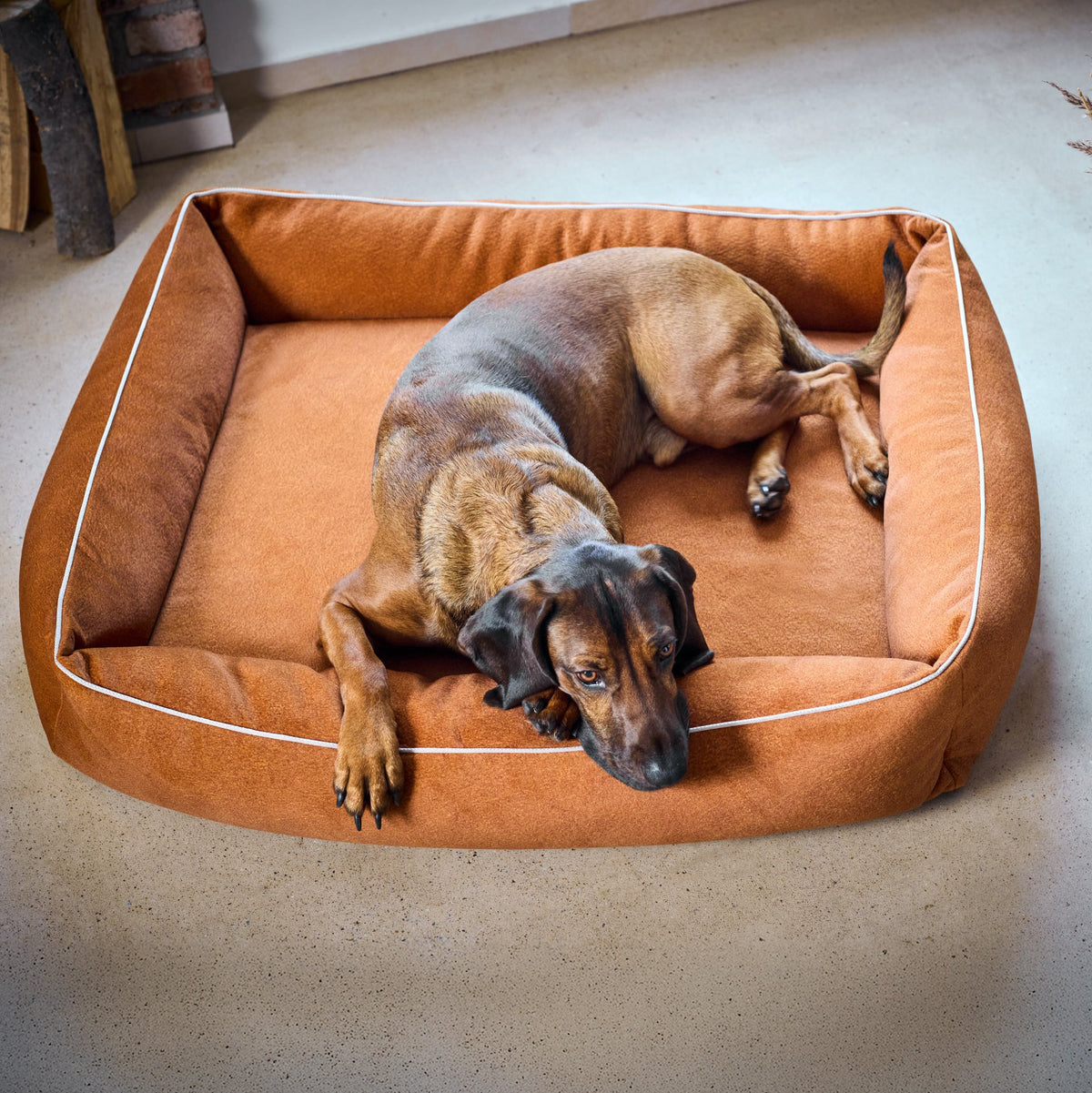 Buffel Ortho | Premium orthopedisch hondenbed