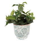 Bloempot Ø 21x20 cm Groen Beige Keramiek Bloemen Bloempot Binnen